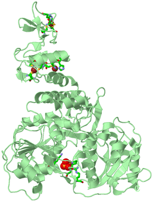 Image Biol. Unit 1 - sites