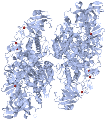 Image Biological Unit 1