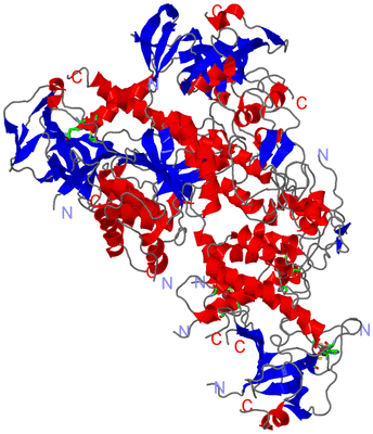 Image Asym. Unit - sites