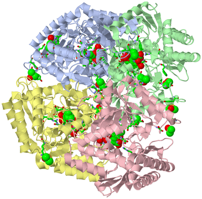 Image Asym./Biol. Unit - sites