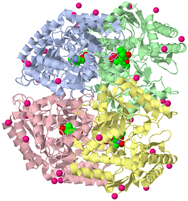 Image Asym./Biol. Unit