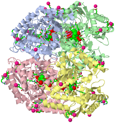 Image Asym./Biol. Unit - sites