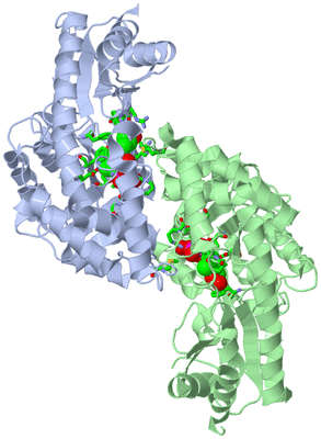 Image Asym./Biol. Unit - sites