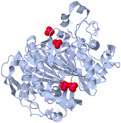 Image Biological Unit 1