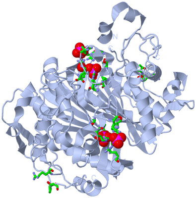 Image Biol. Unit 1 - sites