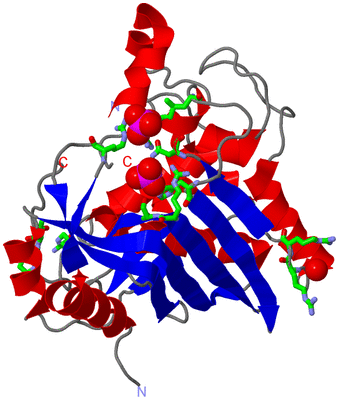 Image Asym. Unit - sites