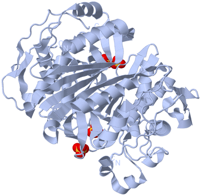 Image Biological Unit 1