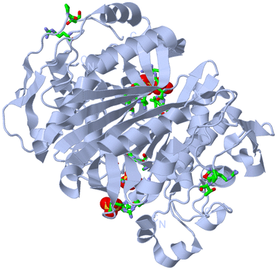 Image Biol. Unit 1 - sites