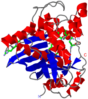 Image Asym. Unit - sites