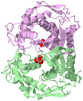 Image Biological Unit 2