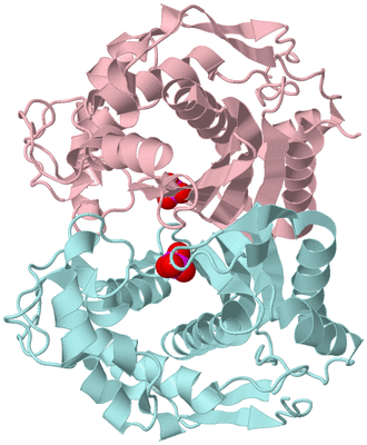 Image Biological Unit 3