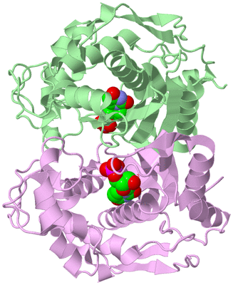 Image Biological Unit 2