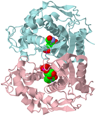 Image Biological Unit 3