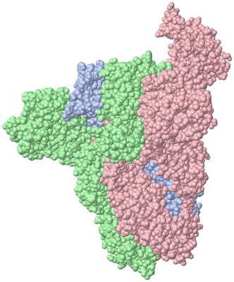 Image Asym./Biol. Unit