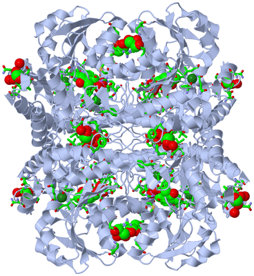 Image Biol. Unit 1 - sites