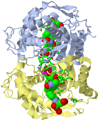 Image Biol. Unit 1 - sites