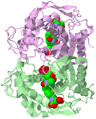 Image Biological Unit 2