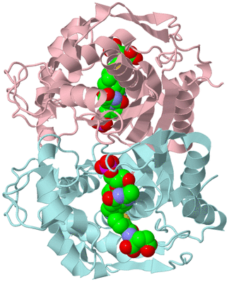 Image Biological Unit 3