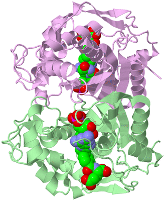 Image Biological Unit 2