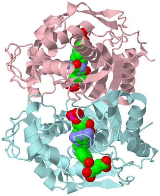 Image Biological Unit 3