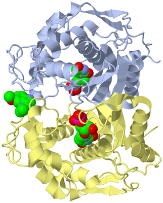 Image Biological Unit 1