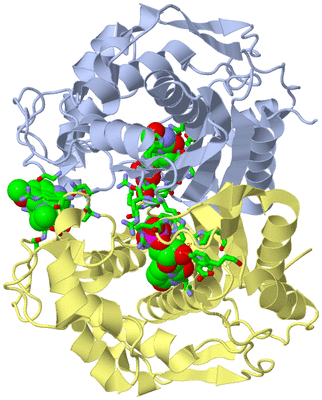 Image Biol. Unit 1 - sites