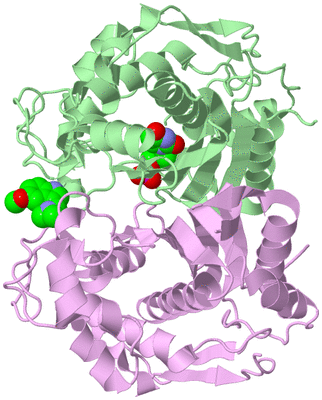 Image Biological Unit 2