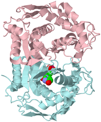 Image Biological Unit 3