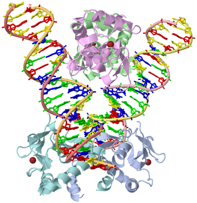 Image Asym./Biol. Unit