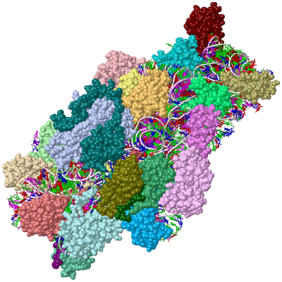 Image Asym./Biol. Unit