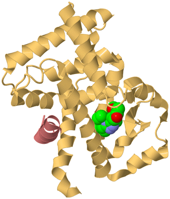 Image Biological Unit 4