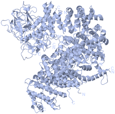 Image Biological Unit 1