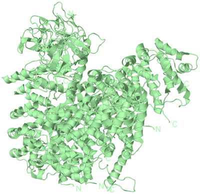 Image Biological Unit 2