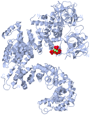 Image Biological Unit 1