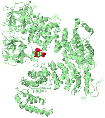 Image Biological Unit 2