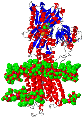 Image Asym./Biol. Unit