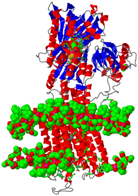 Image Asym./Biol. Unit - sites