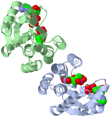 Image Asym./Biol. Unit