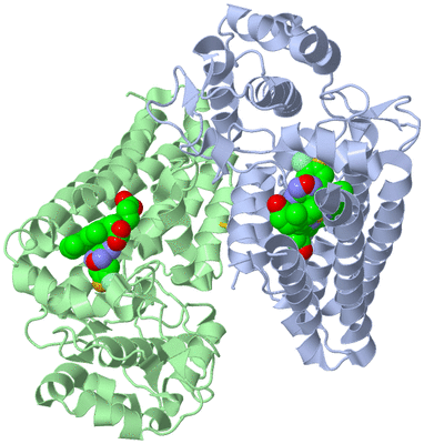 Image Biological Unit 1