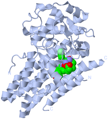 Image Biological Unit 2