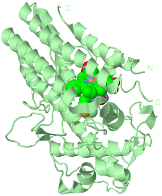 Image Biological Unit 3