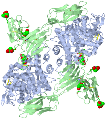 Image Biol. Unit 1 - sites