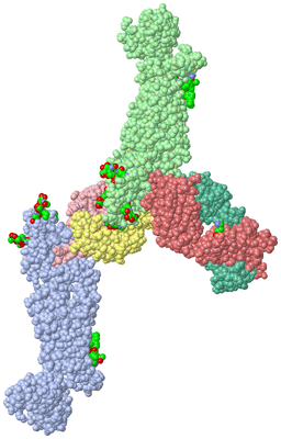 Image Asym. Unit - sites