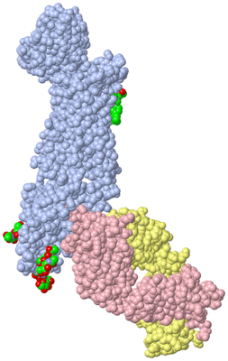 Image Biological Unit 1