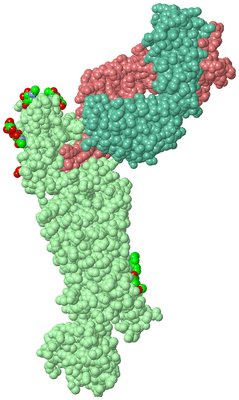 Image Biological Unit 2