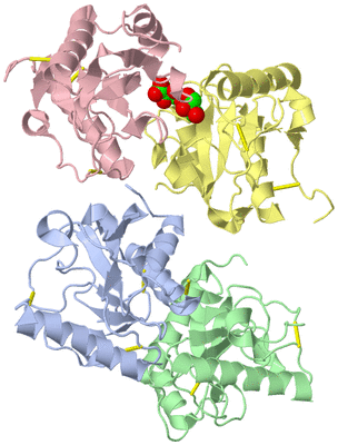 Image Asym./Biol. Unit