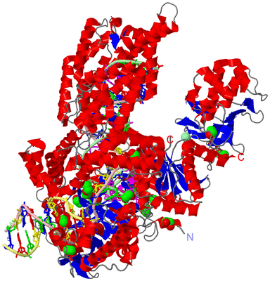 Image Asym./Biol. Unit