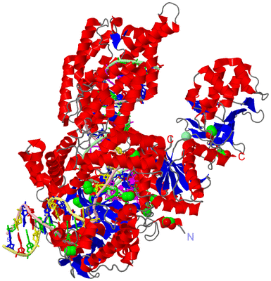 Image Asym./Biol. Unit