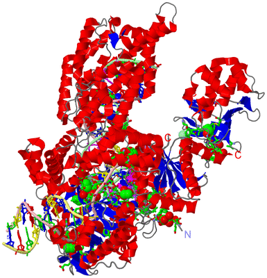 Image Asym./Biol. Unit - sites