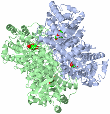 Image Biological Unit 1